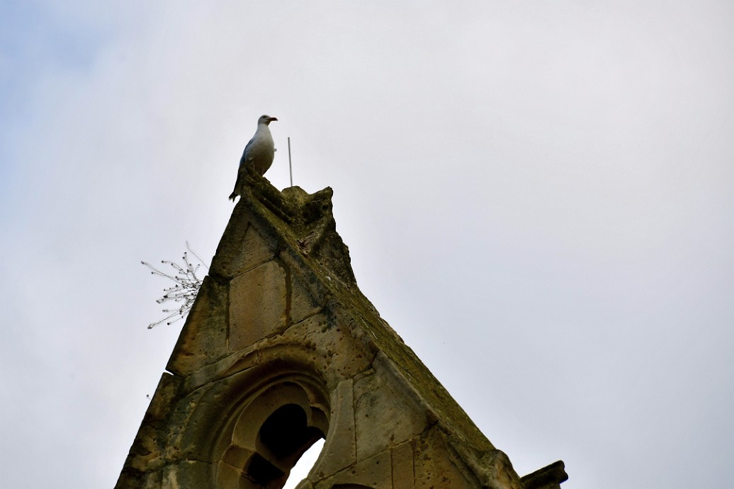 King of the Church